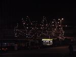 Xmas Lights...